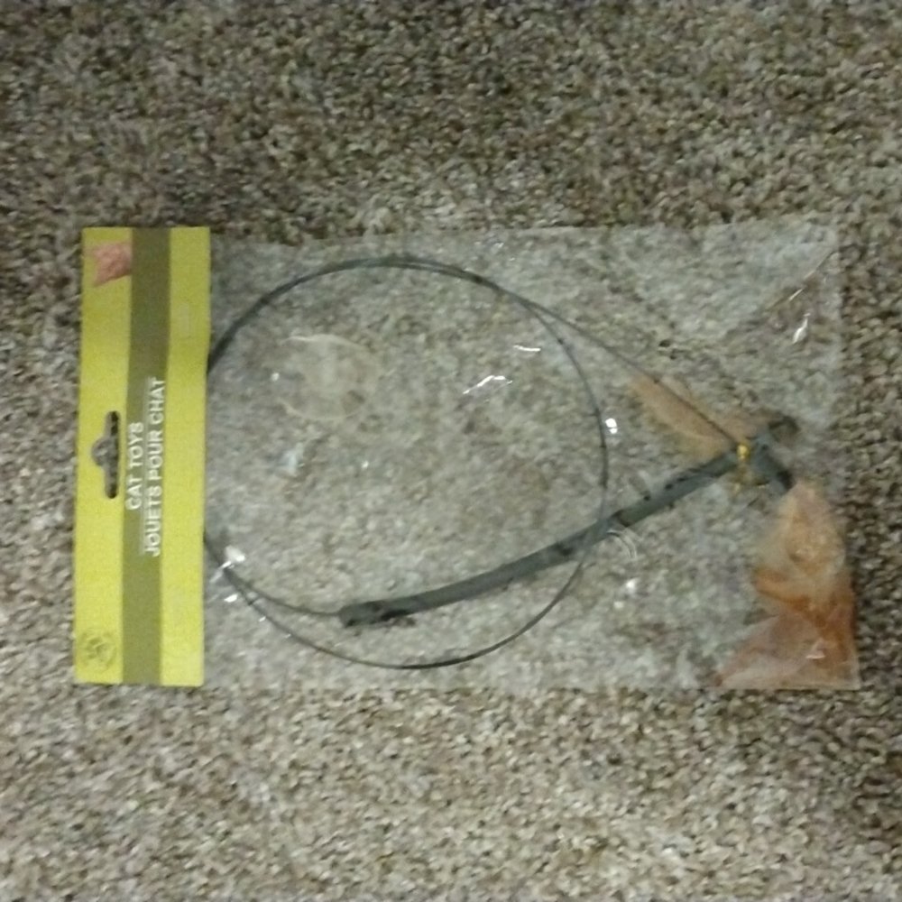 50¢ if bundlec cat feather toy